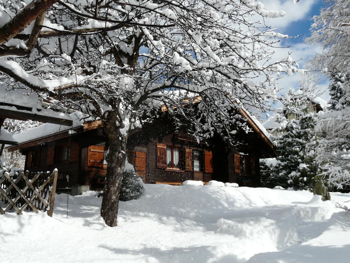Chalet Des Glaciers Chamonix Dış mekan fotoğraf