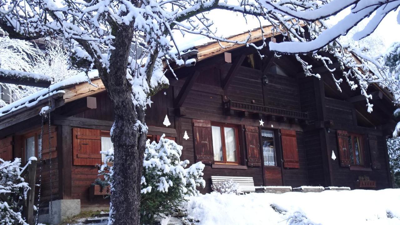 Chalet Des Glaciers Chamonix Dış mekan fotoğraf